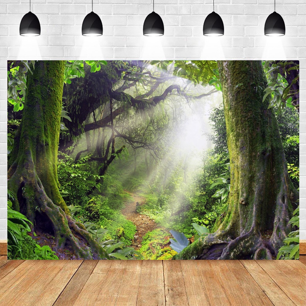Tropical Rainforest Photograph - огляд і ціна Outdoor Adventure Background