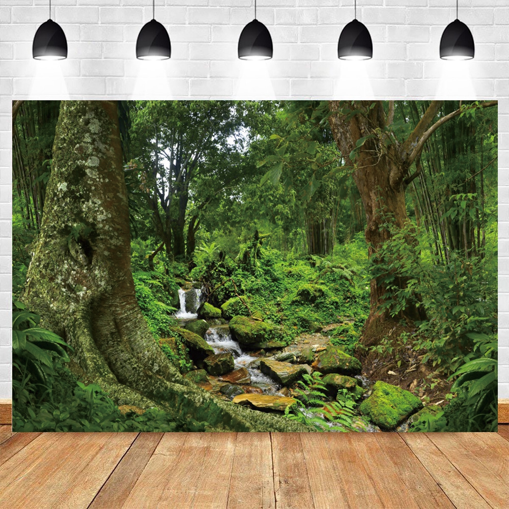 Tropical Rainforest Photograph - огляд і ціна Outdoor Adventure Background