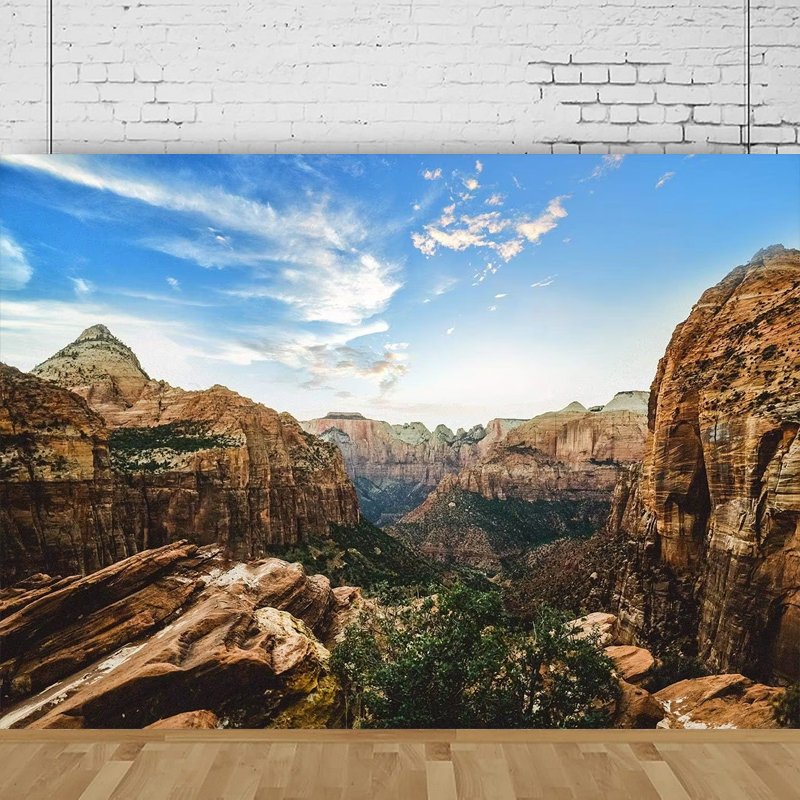 National Park Photography Back - огляд і ціна Outdoor Adventure Background